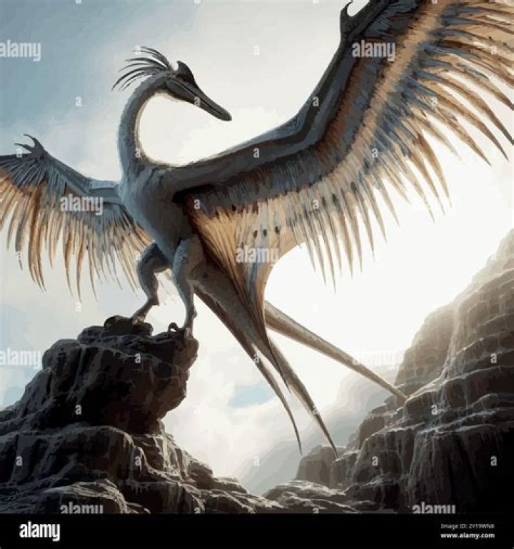 Unveiling Pedro Pascal's Stature: Insights And Discoveries